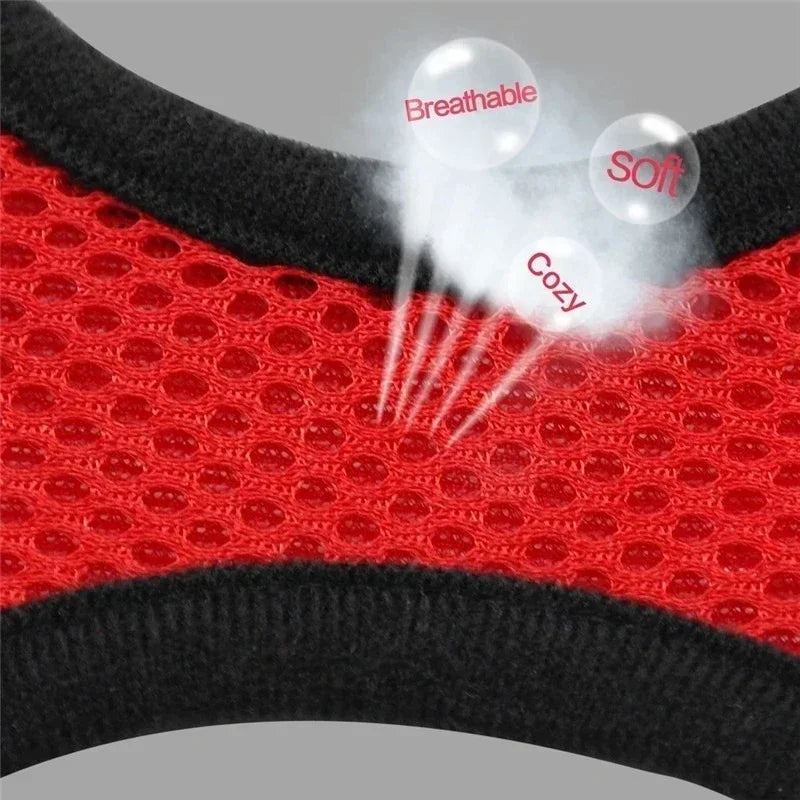 Fashionable Cat Harness Vest