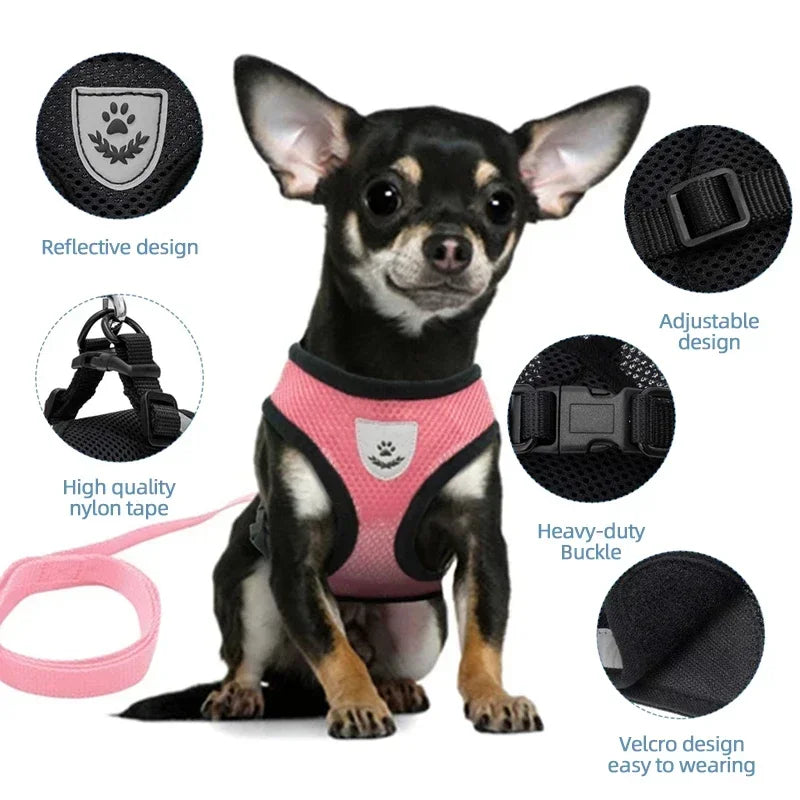 Fashionable Cat Harness Vest