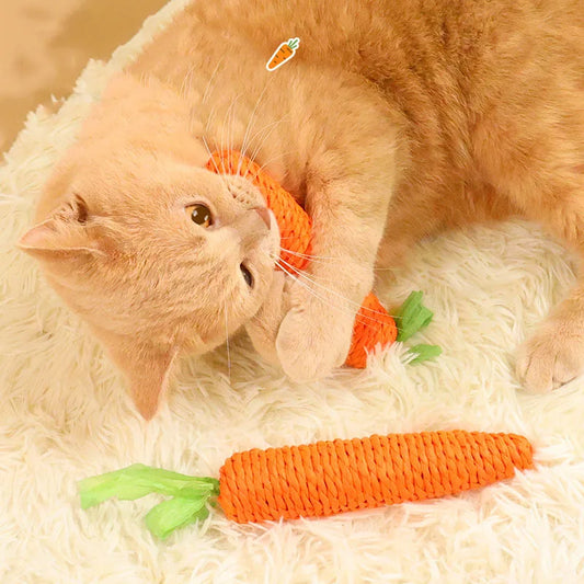 Carrot Teething learning Aid Cat toys with sounds