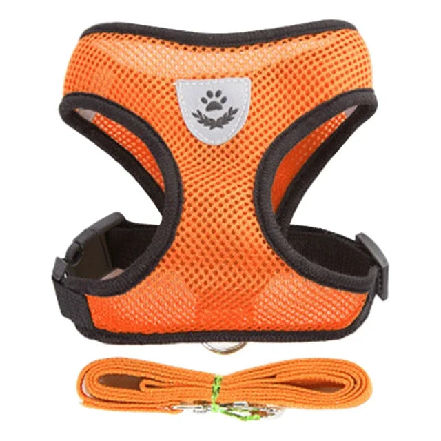 Fashionable Cat Harness Vest